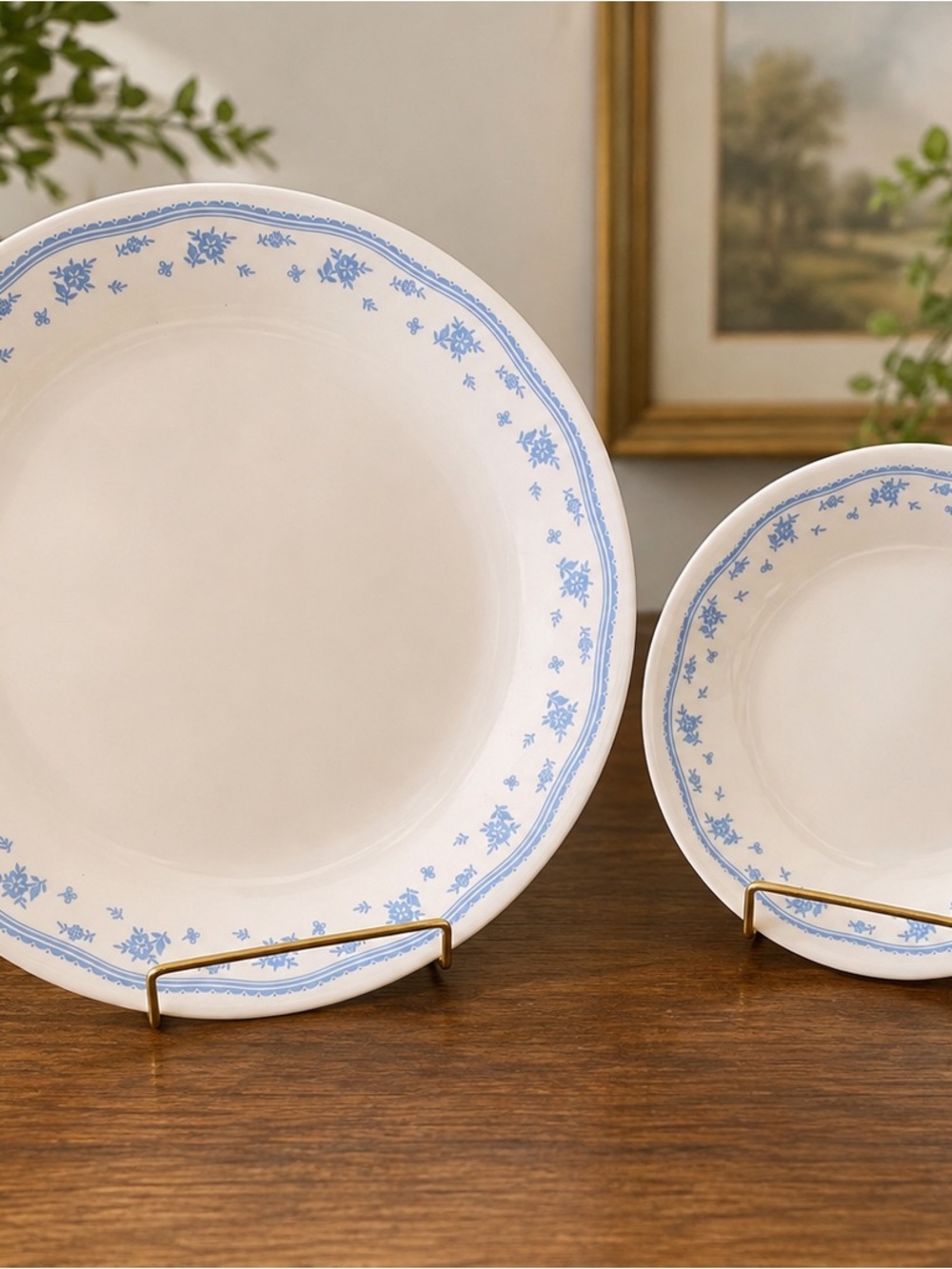 Corelle Blue Floral Rim Porcelain Dinner Plates